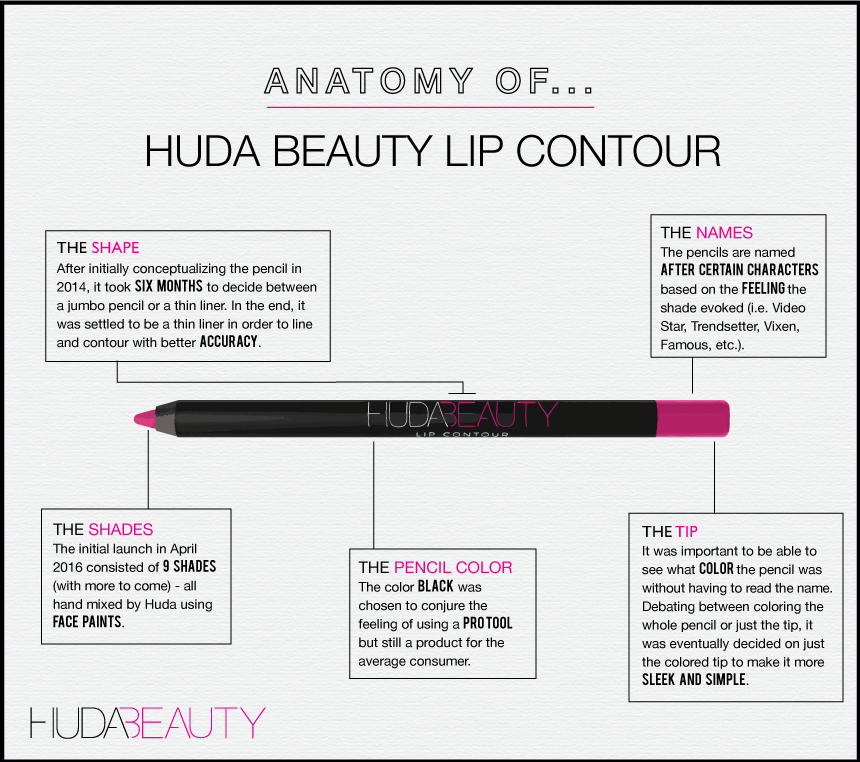 Anatomy-LipContour-1