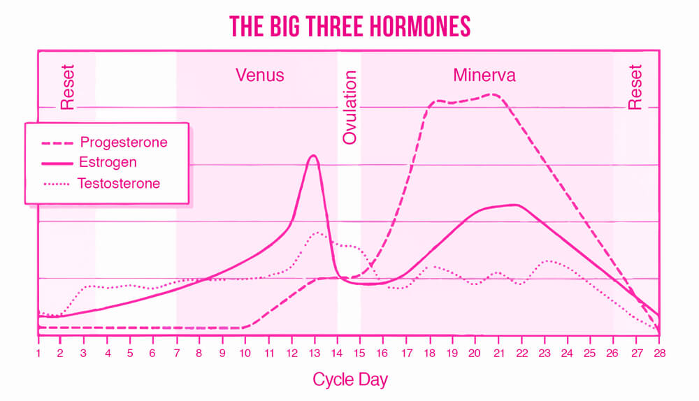 The-Big-Three-Hormones