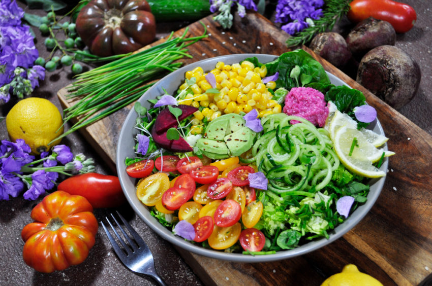 are plant based diets better