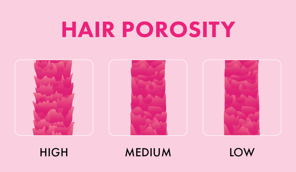 Hair Gurus Share Everything You Need To Know About Hair Porosity Blog HUDA BEAUTY